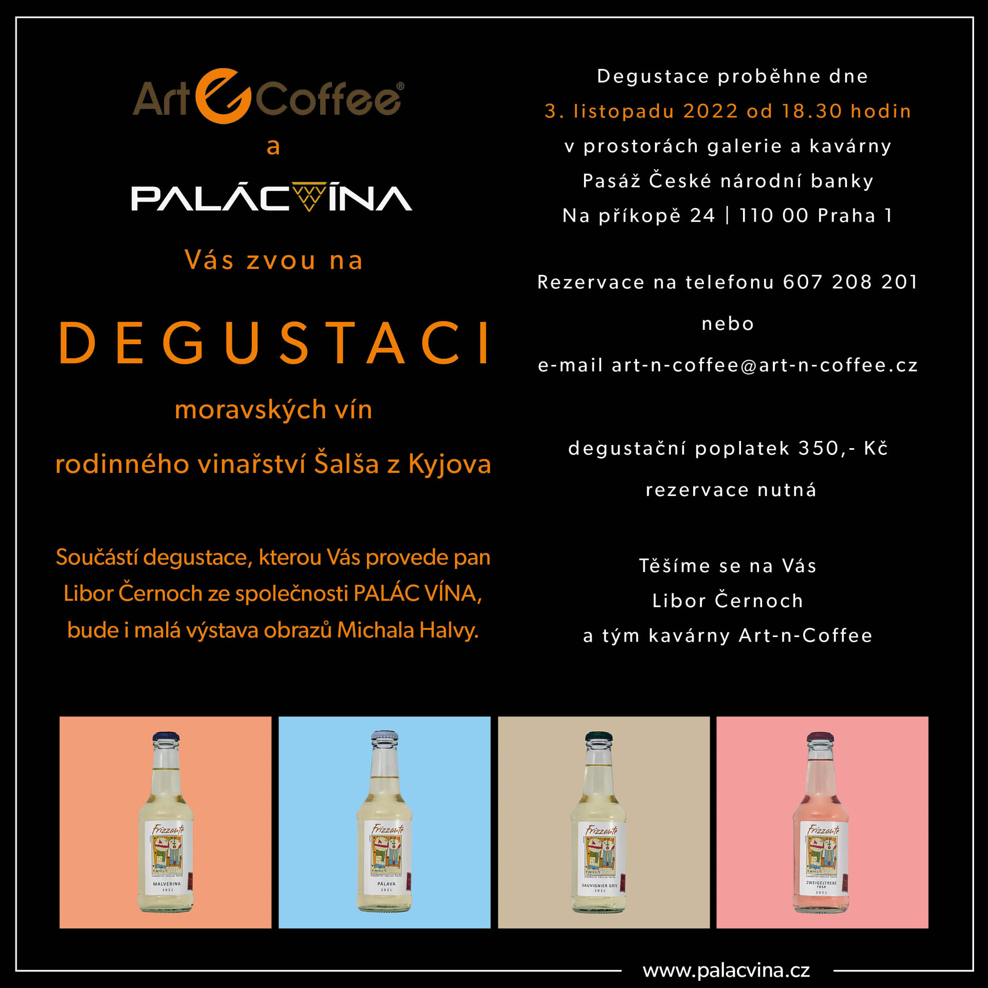 degustace salsa palac vina