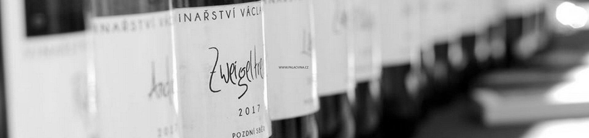 Vinařství Václav Šalša