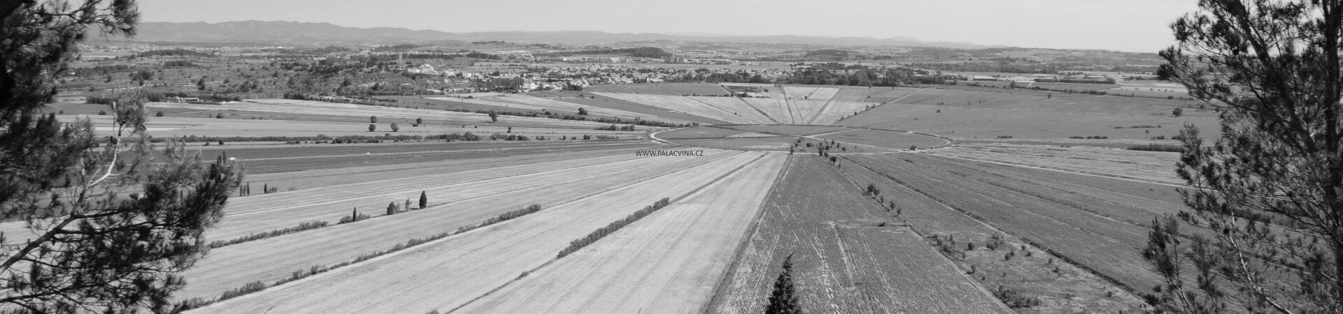 Cesty za vínem: Languedoc Rousillon