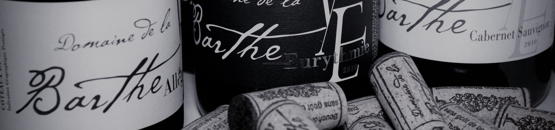 Domaine de la Barthe v hotelu Leonardo