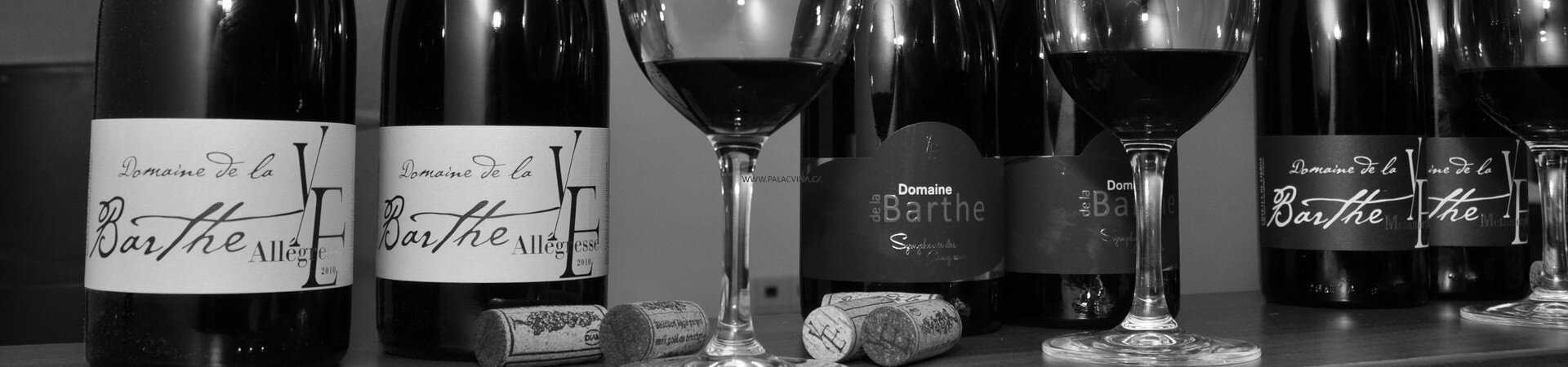 Domaine de la Barthe v Castle Residence