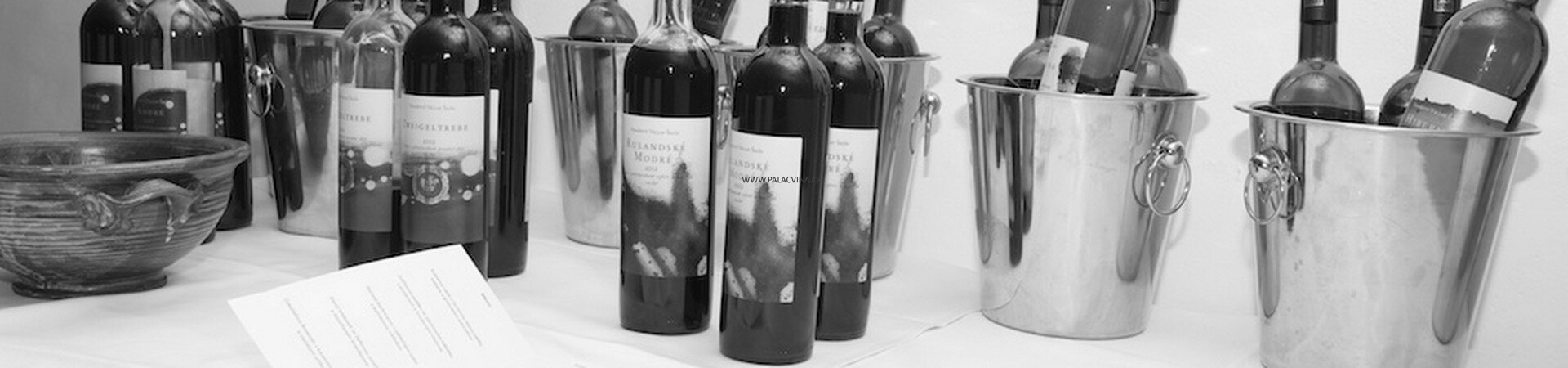 Degustace Václava Šalši v hotelu Leonardo