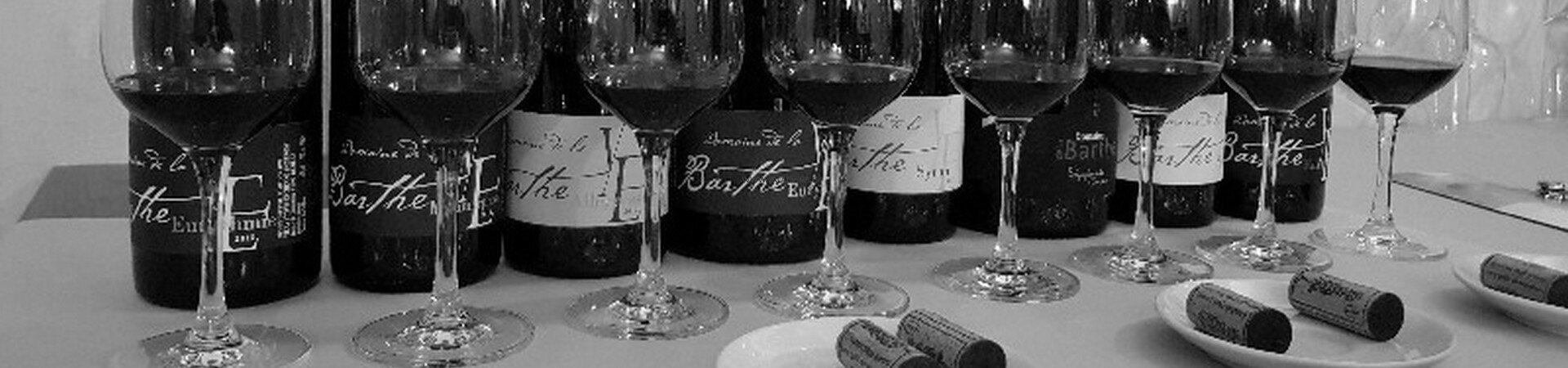 Vertikální degustace Syrah