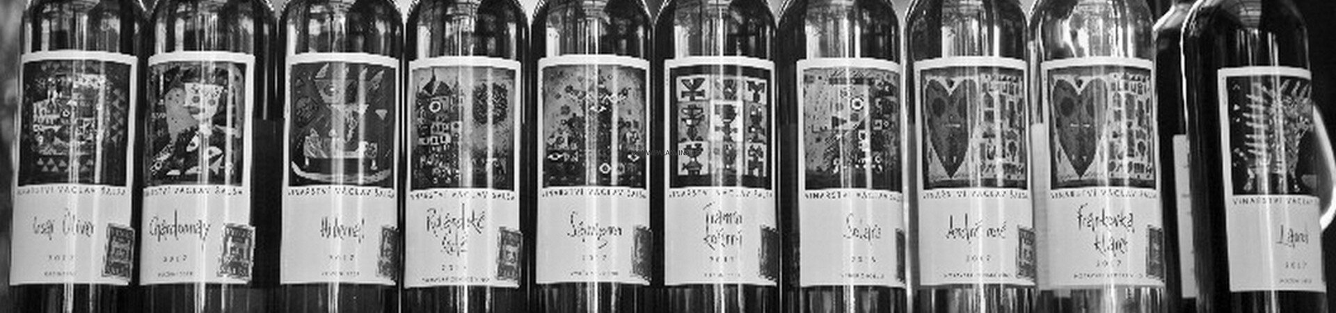 Gourmet Art Collection v hotelu Absolutum