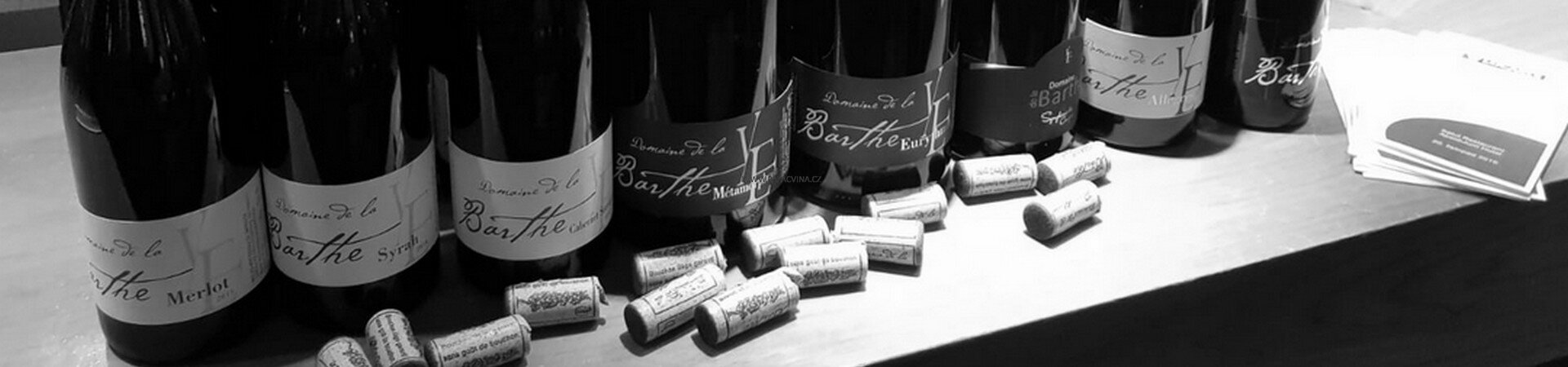 Domaine de la Barthe v hotelu Absolutum