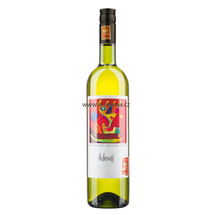 Hibernal 2025, polosuché, Václav Šalša