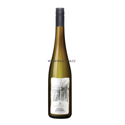 Grüner Veltliner Kamptal Alte Reben 2023, BIO, Ve Vino Weix Weixelbaum