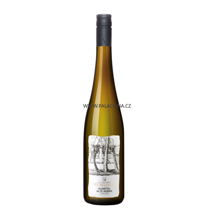 Riesling Kamptal Alte Reben DAC 2022, BIO,Ve Vino Weix Weixelbaum