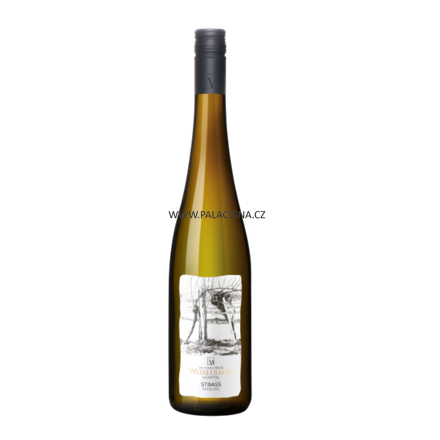 Riesling Strass Kamptal DAC 2023, BIO, Ve Vino Weix Weixelbaum