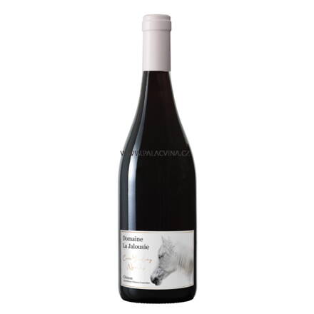 Chinon AOC Rouge, Cuvée Yearling Nijinsky